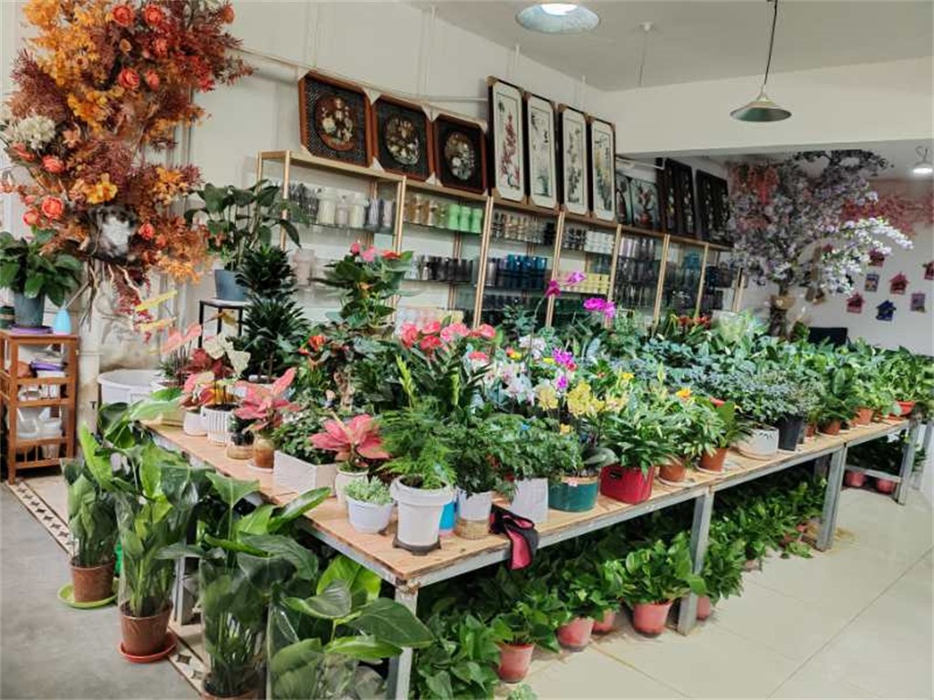 博思花藝婚慶教育，婚慶培訓，花藝培訓，插花培訓，花藝師培訓，主持人培訓，商務主持人培訓，花店運營培訓，花店全系統(tǒng)營銷，小白開花店，小白學主持，金璽棠婚慶酒店，金璽棠總部，鄭州金麻雀教育科技有限公司