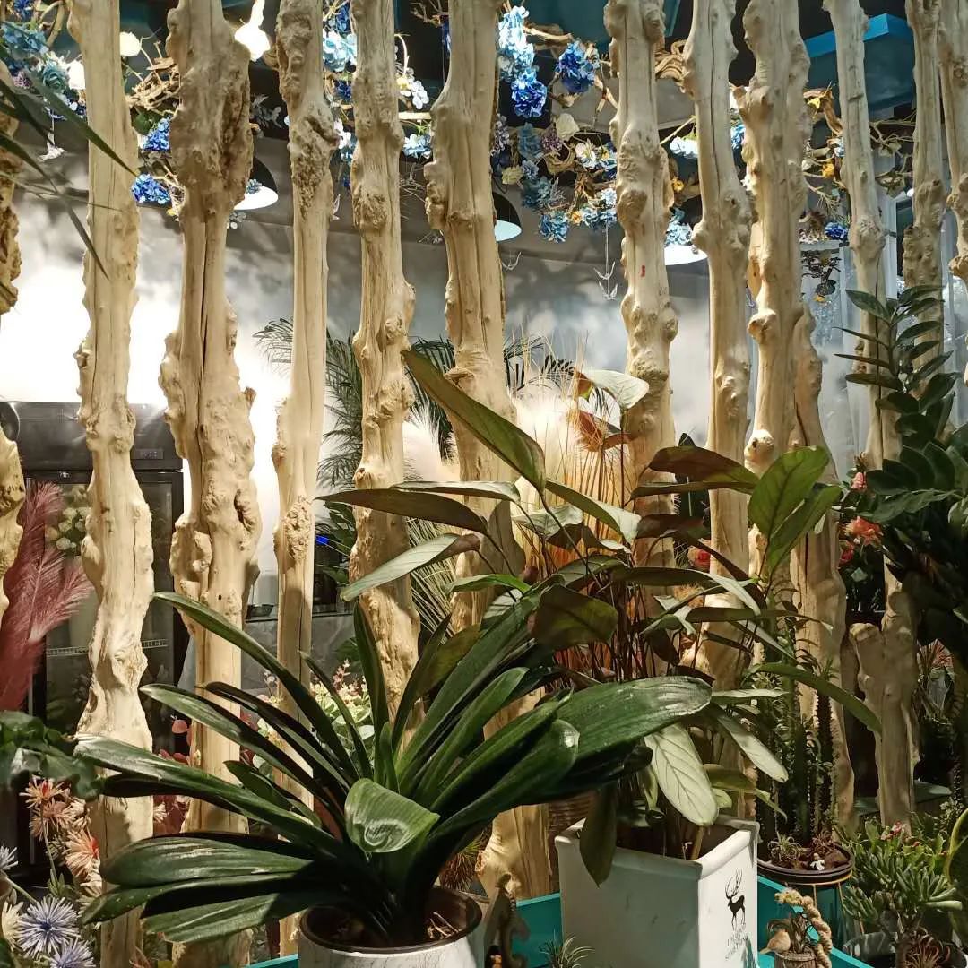 博思花藝婚慶教育，婚慶培訓，花藝培訓，插花培訓，花藝師培訓，主持人培訓，商務主持人培訓，花店運營培訓，花店全系統(tǒng)營銷，小白開花店，小白學主持，金璽棠婚慶酒店，金璽棠總部，鄭州金麻雀教育科技有限公司