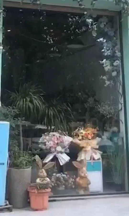 博思花藝婚慶教育，婚慶培訓，花藝培訓，插花培訓，花藝師培訓，主持人培訓，商務主持人培訓，花店運營培訓，花店全系統(tǒng)營銷，小白開花店，小白學主持，金璽棠婚慶酒店，金璽棠總部，鄭州金麻雀教育科技有限公司