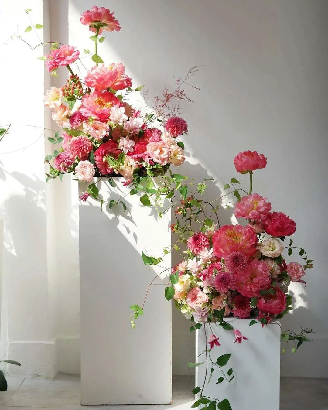 博思花藝婚慶教育，婚慶培訓(xùn)，花藝培訓(xùn)，插花培訓(xùn)，花藝師培訓(xùn)，主持人培訓(xùn)，商務(wù)主持人培訓(xùn)，花店運營培訓(xùn)，花店全系統(tǒng)營銷，小白開花店，小白學(xué)主持，金璽棠婚慶酒店，金璽棠總部，鄭州金麻雀教育科技有限公司