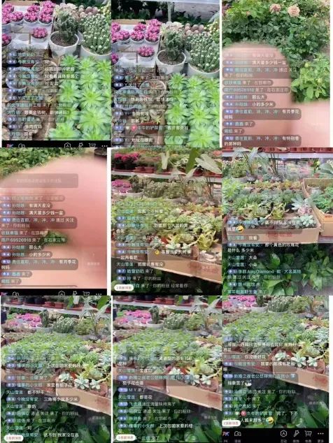 博思花藝婚慶教育，婚慶培訓(xùn)，花藝培訓(xùn)，插花培訓(xùn)，花藝師培訓(xùn)，主持人培訓(xùn)，商務(wù)主持人培訓(xùn)，花店運(yùn)營(yíng)培訓(xùn)，花店全系統(tǒng)營(yíng)銷，小白開(kāi)花店，小白學(xué)主持，金璽棠婚慶酒店，金璽棠總部，鄭州金麻雀教育科技有限公司