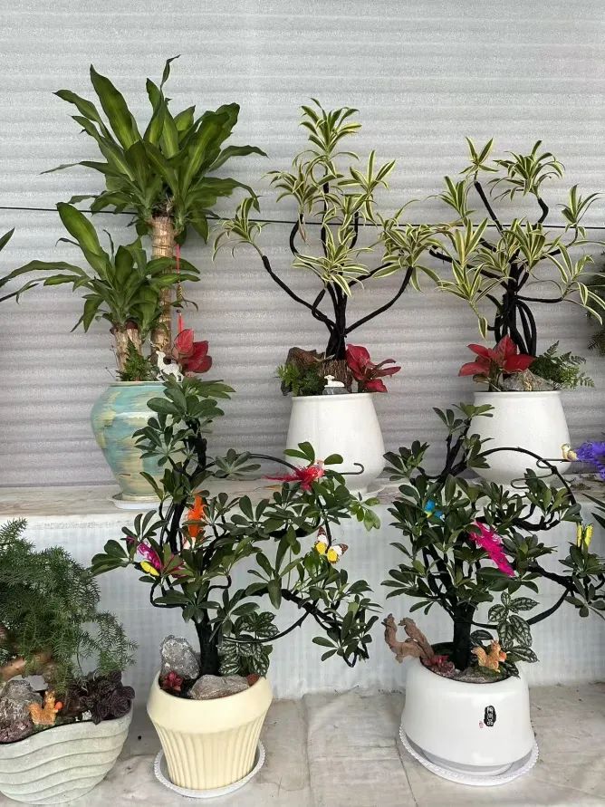 博思花藝婚慶教育，婚慶培訓(xùn)，花藝培訓(xùn)，插花培訓(xùn)，花藝師培訓(xùn)，主持人培訓(xùn)，商務(wù)主持人培訓(xùn)，花店運(yùn)營(yíng)培訓(xùn)，花店全系統(tǒng)營(yíng)銷，小白開(kāi)花店，小白學(xué)主持，金璽棠婚慶酒店，金璽棠總部，鄭州金麻雀教育科技有限公司