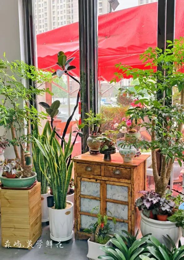 博思花藝婚慶教育，婚慶培訓，花藝培訓，插花培訓，花藝師培訓，主持人培訓，商務主持人培訓，花店運營培訓，花店全系統(tǒng)營銷，小白開花店，小白學主持，金璽棠婚慶酒店，金璽棠總部，鄭州金麻雀教育科技有限公司